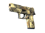 P250 | Contamination image